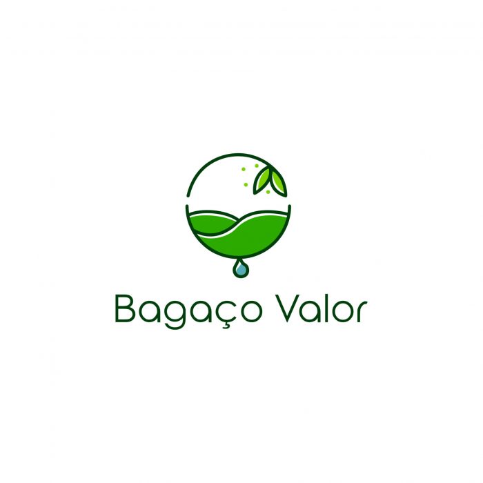 Logotipo Bagaçovalor 4